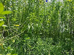 Desi Bhabhi hard shag outdoor sex videos anal sex